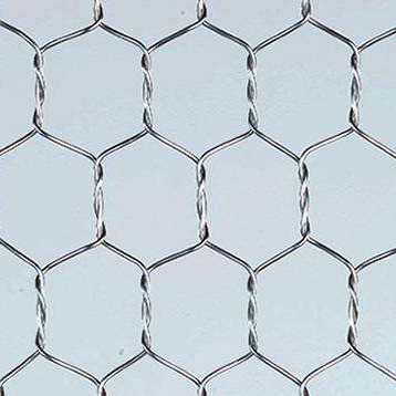 Hexagonal Stucco Wire Mesh